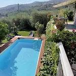 Paradiso - Dol192 By Interhome *